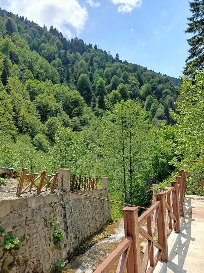 Ferah Butik Otel Çamlıhemşin Exterior foto